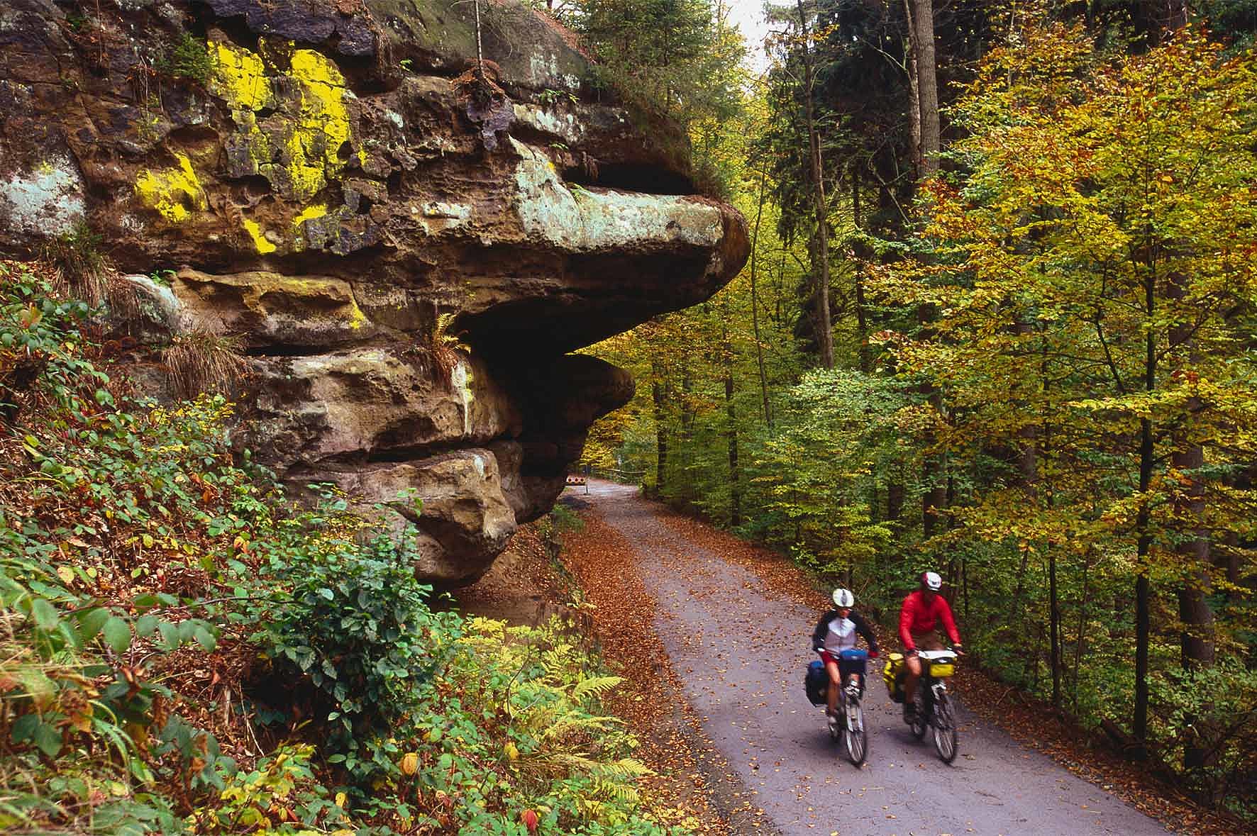 Zwei Personen fahren mit Fahrrädern auf einem schmalen Weg durch eine herbstliche Landschaft. Links ragen Felswände und moosbewachsene Steine empor, rechts säumen bunte Laubbäume den Weg. Die Szene wirkt aktiv, naturverbunden und zeigt einen herbstlichen Ausflug in der felsigen Waldregion der Sächsischen Schweiz.